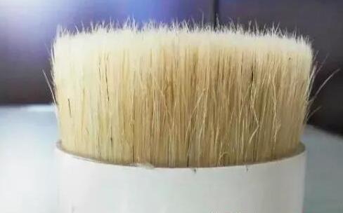 [创业资讯]农村暴利偏门小生意，靠谱程度极高！