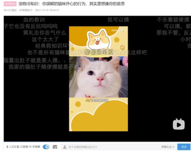 [网赚项目]宠物号项目：月挣10W+矩阵玩法分享，新手可做！
