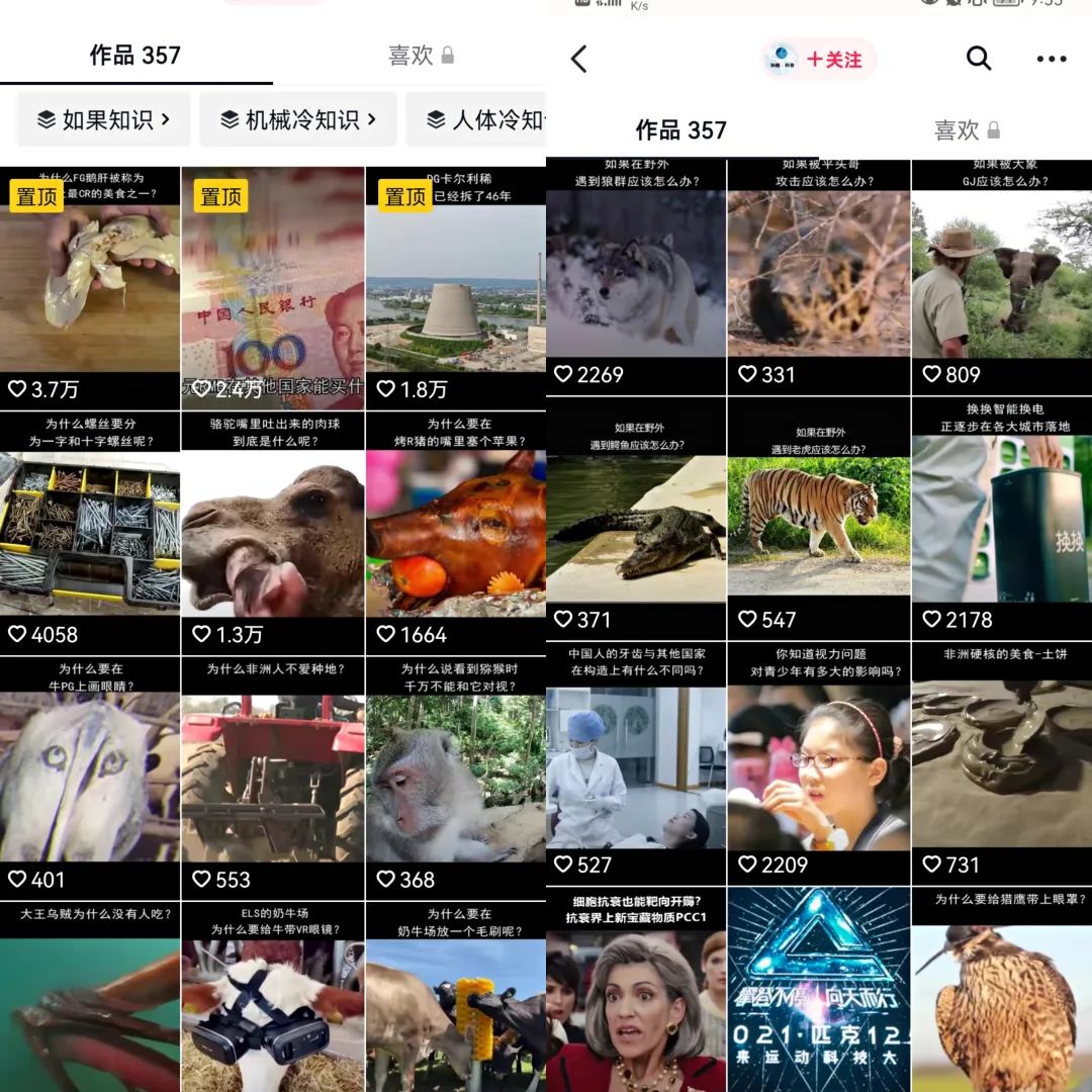 [短视频运营]冷门短视频变现玩法思路：新手零门槛赚钱，冷知识无脑照搬变现项目