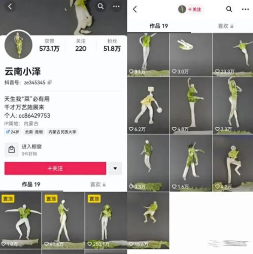 [短视频运营]抖音最新风口玩法：定格动画-第1张图片-智慧创业网