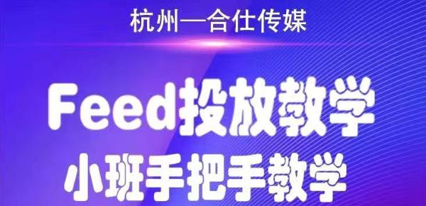 [创业项目]（1749期）合仕传媒Feed投放教学，手把手教学，开车烧钱必须自己会！