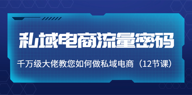 [国内电商]（3977期）私域电商流量密码：千万级大佬教您如何做私域电商（12节课）-第1张图片-智慧创业网