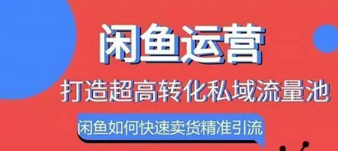 [引流-涨粉-软件]（1086期）闲鱼如何快速卖货精准引流打造私域流量池，快速卖货月赚过万-第2张图片-智慧创业网