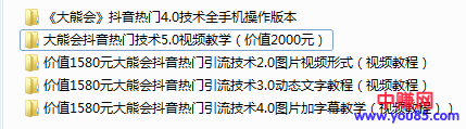 [热门给力项目]（908期）某高端赚钱项目：大熊会抖音热门技术2.0到5.0（全套视频课程）-第2张图片-智慧创业网