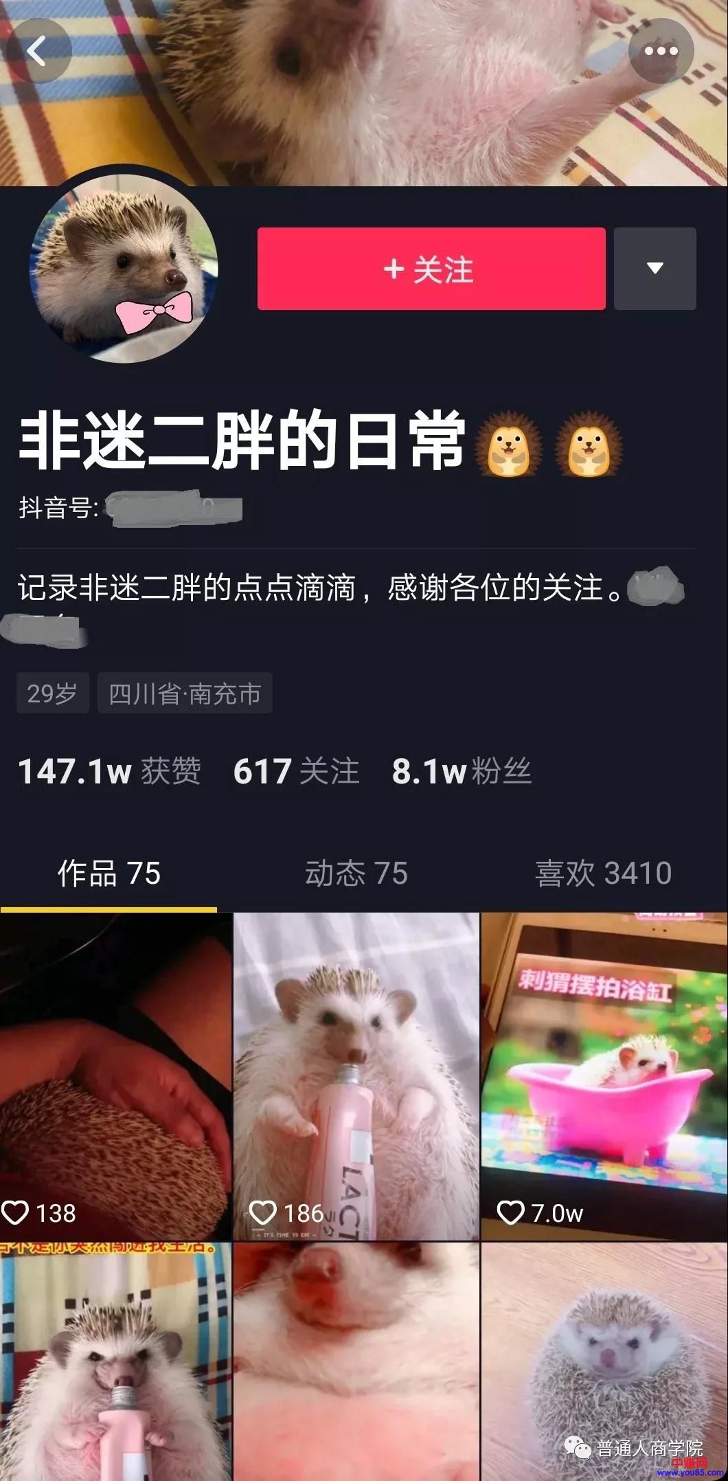 [短视频运营]抖音微型萌宠养成播主赚钱套路，单人可操作！-第6张图片-智慧创业网