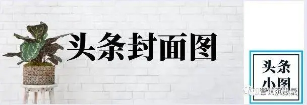 [引流涨粉]如何做到每天运营1小时，公众号一个月涨粉突破500+？-第8张图片-智慧创业网