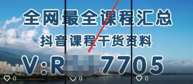 [引流涨粉]被动获取流量的赚钱项目：抖音评论截流卖资料，也能日入200元-第2张图片-智慧创业网