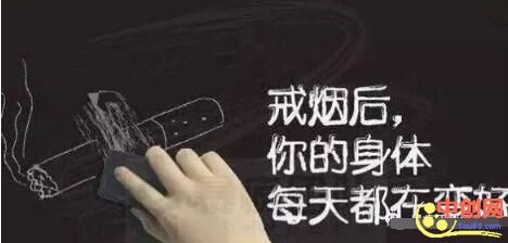 [引流涨粉]戒烟网站怎么运营有哪些盈利点 有刚需流量群体年赚十万+-第1张图片-智慧创业网