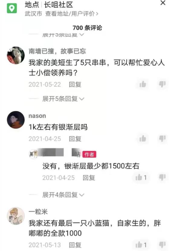 [网赚项目]不用引流，一天赚1000+，很简单的闷声搞钱路子-第2张图片-智慧创业网