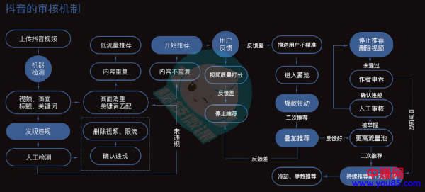 [短视频运营]抖音从0到1快速运营操作-第2张图片-智慧创业网