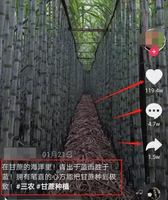 [短视频运营]摆地摊+互联网项目的另类暴利操作玩法-第2张图片-智慧创业网