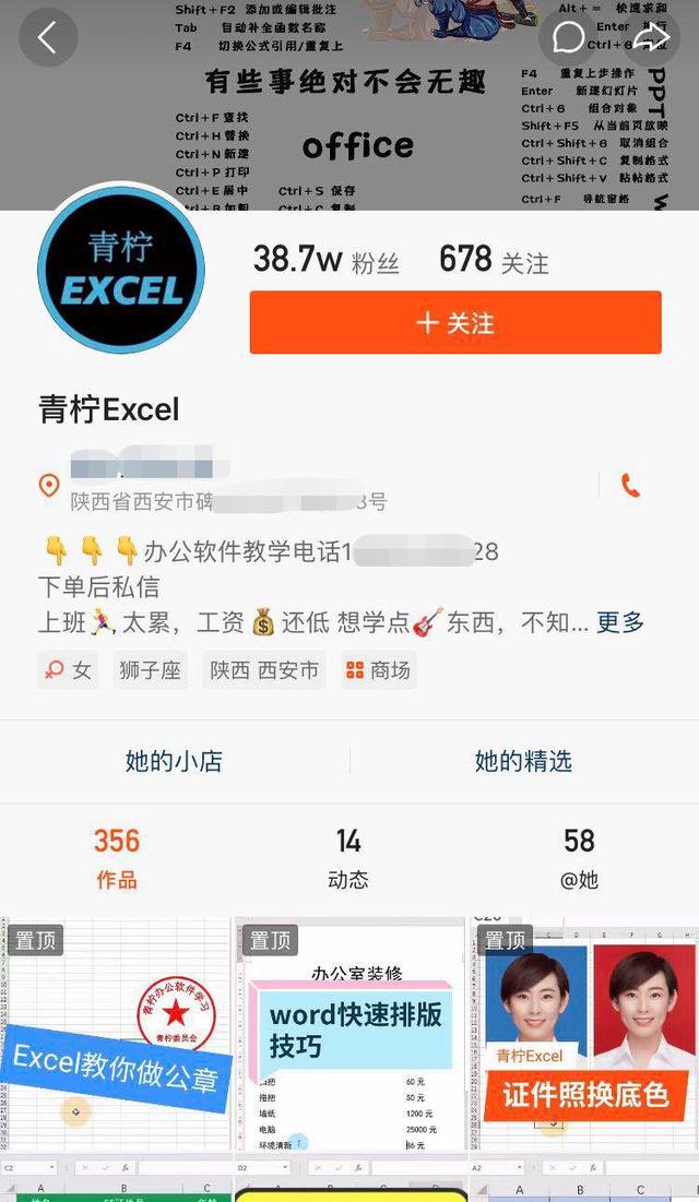 [网赚项目]Excel也能赚钱？看看别人怎么做的！-第4张图片-智慧创业网