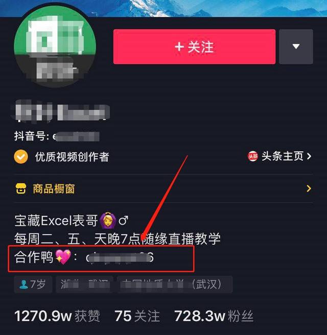 [网赚项目]Excel也能赚钱？看看别人怎么做的！-第8张图片-智慧创业网