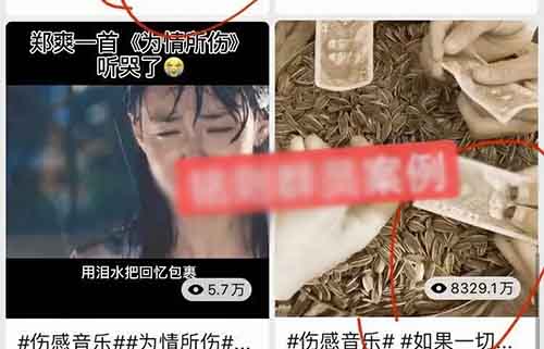 [短视频运营]视频号作品达9千万播放 你看到机会了吗？-第5张图片-智慧创业网