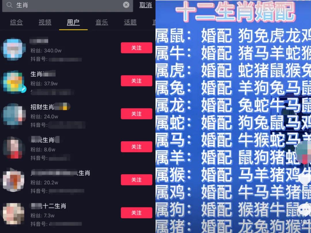 [短视频运营]5个抖音0门槛小项目，赚个年货钱没问题！-第8张图片-智慧创业网