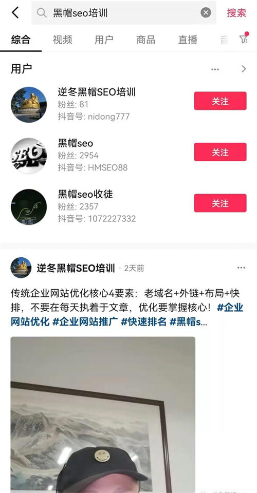 [引流涨粉]抖音SEO排名的3个核心秘密-第2张图片-智慧创业网