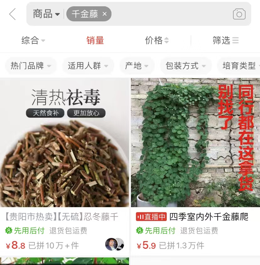 [创业资讯]蹭热点卖千金藤，一单8.8，月销入100万！-第3张图片-智慧创业网