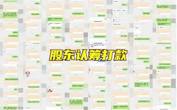 [大杂烩]高价文玩众筹分红项目玩法揭秘！老陈去年搞了500万-第4张图片-智慧创业网