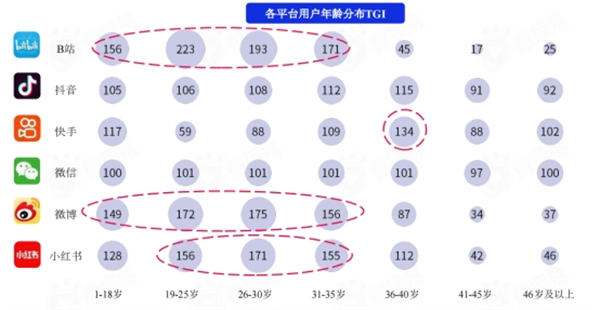 [引流涨粉]盘点各大新媒体平台用户及平台调性和引流变现的思路-第2张图片-智慧创业网