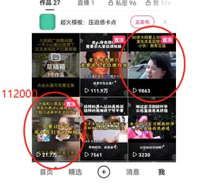 [短视频运营]（5009期）短视频纪实新闻搬运，起号快轻松引爆流量，可接广告变现（教程+素材）-第2张图片-智慧创业网