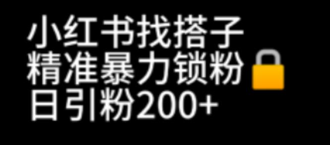 [引流-涨粉-软件]（6807期）小红书找搭子暴力精准锁粉+引流日引200+精准粉-第1张图片-智慧创业网