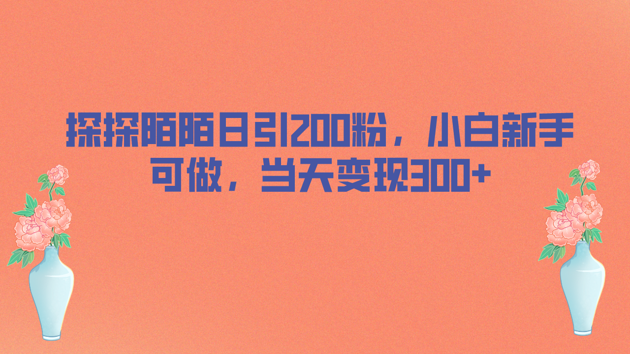 [引流-涨粉-软件]（6817期）探探陌陌日引200粉，小白新手可做，当天就能变现300+