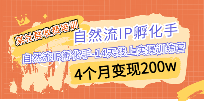 [短视频运营]（6924期）某社群收费培训：自然流IP 孵化手-14天线上实操训练营 4个月变现200w