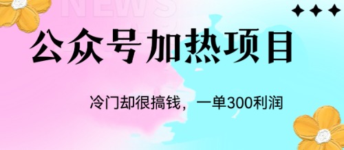 [热门给力项目]（6916期）冷门公众号加热项目，一单利润300+