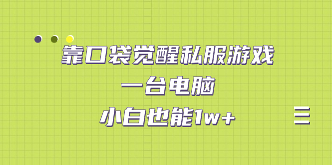 [热门给力项目]（7113期）靠口袋觉醒私服游戏，一台电脑，小白也能1w+（教程+工具+资料）