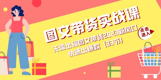 [短视频运营]（7496期）图文带货实战课：无需出镜图文带货2023新风口，快速出爆款（33节）