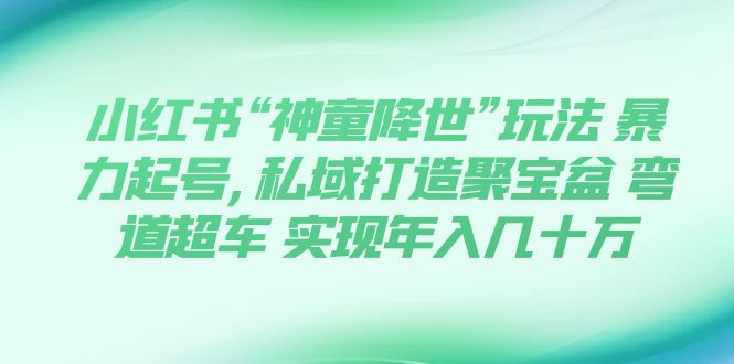 [热门给力项目]（7673期）小红书“神童降世”玩法 暴力起号,私域打造聚宝盆 弯道超车 实现年入几十万