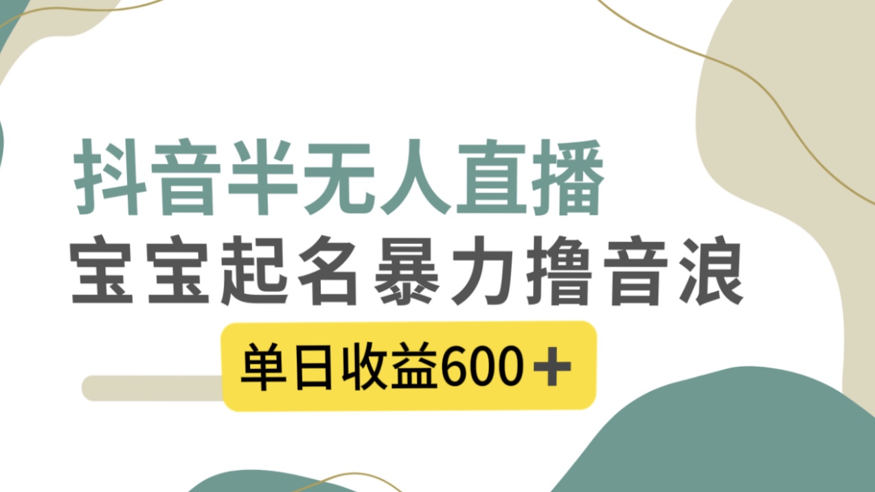 [热门给力项目]（8192期）抖音半无人直播，宝宝起名，暴力撸音浪，单日收益600+