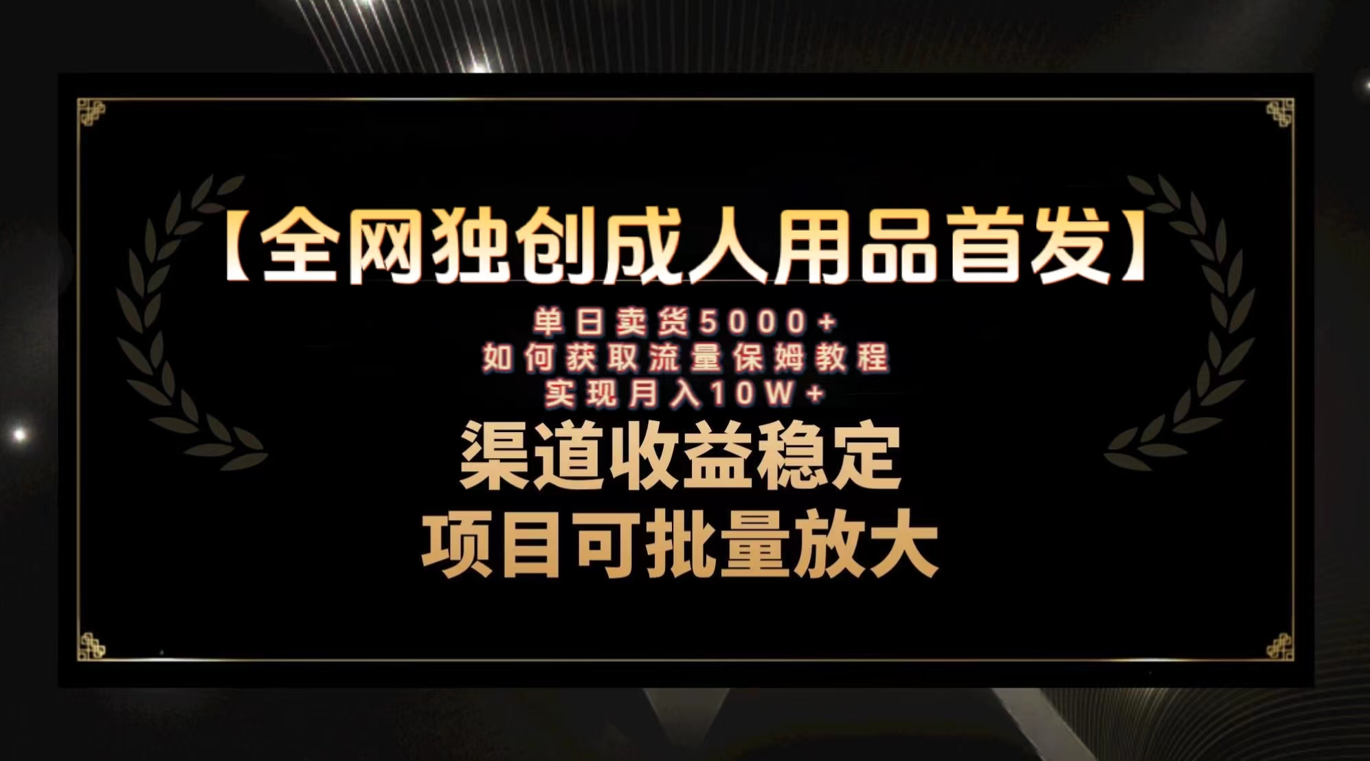 [热门给力项目]（8128期）最新全网独创首发，成人用品赛道引流获客，月入10w保姆级教程