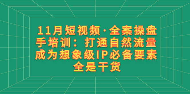 [短视频运营]（8182期）11月短视频·全案操盘手培训：打通自然流量 成为想象级IP必备要素 全是干货