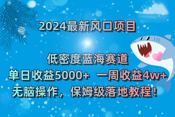 [短视频运营]（8545期）2024最新风口项目 低密度蓝海赛道，日收益5000+周收益4w+ 无脑操作，保...-第2张图片-智慧创业网