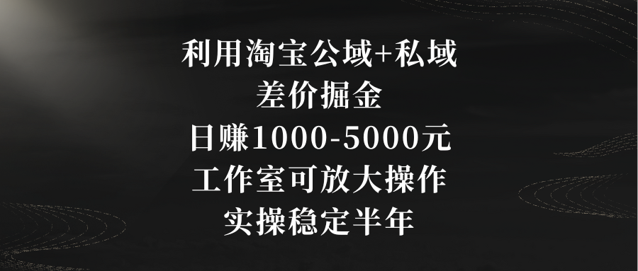 [热门给力项目]（8952期）利用淘宝公域+私域差价掘金，日赚1000-5000元，工作室可放大操作，实操...