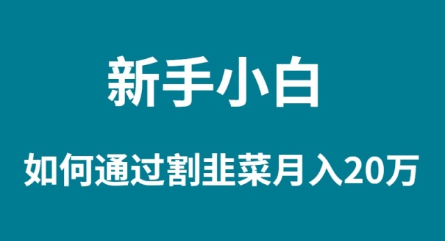 [热门给力项目]（9308期）新手小白如何通过割韭菜月入 20W