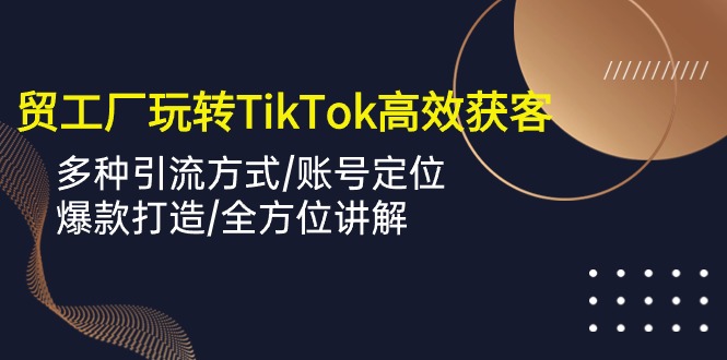 [跨境电商]（10302期）外贸工厂玩转TikTok高效获客，多种引流方式/账号定位/爆款打造/全方位讲解