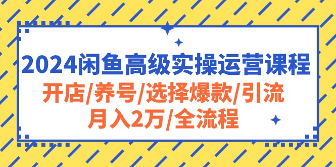 [无货源]（10711期）2024闲鱼高级实操运营课程：开店/养号/选择爆款/引流/月入2万/全流程