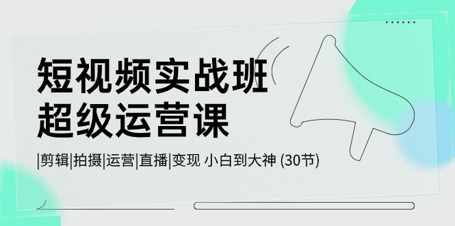 [短视频运营]（10836期）短视频实战班-超级运营课，|剪辑|拍摄|运营|直播|变现 小白到大神 (30节)-第1张图片-智慧创业网