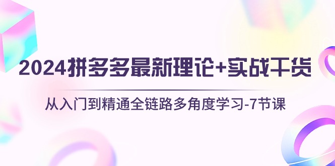 [国内电商]（10816期）2024拼多多 最新理论+实战干货，从入门到精通全链路多角度学习-7节课