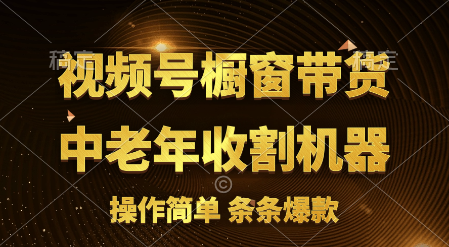 [热门给力项目]（11009期）[你的孩子成功取得高位]视频号最火爆赛道，橱窗带货，流量分成计划，条...