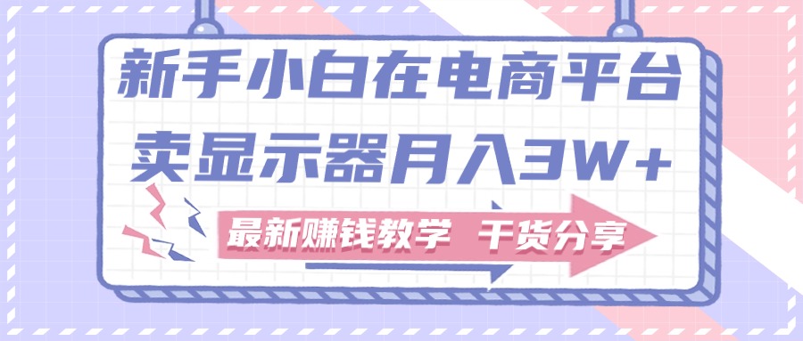 [无货源]（11053期）新手小白如何做到在电商平台卖显示器月入3W+，最新赚钱教学干货分享