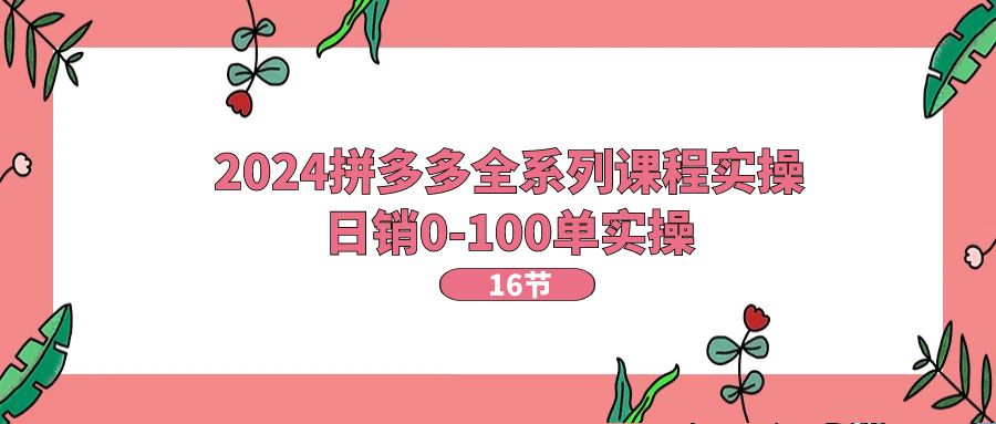 [国内电商]（11222期）2024拼多多全系列课程实操，日销0-100单实操【16节课】