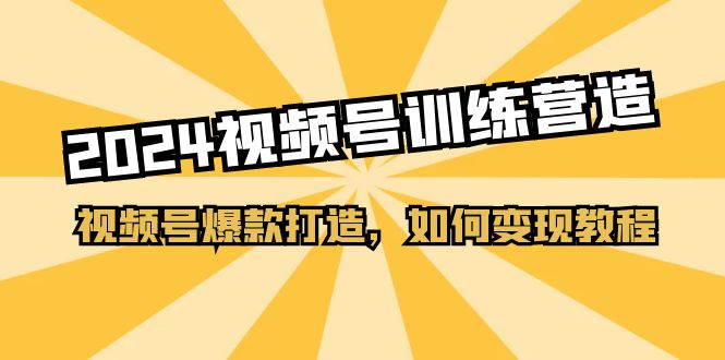 [短视频运营]（11135期）2024视频号训练营，视频号爆款打造，如何变现教程（20节课）