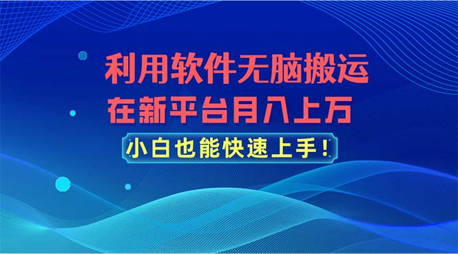 [短视频运营]（11078期）利用软件无脑搬运，在新平台月入上万，小白也能快速上手