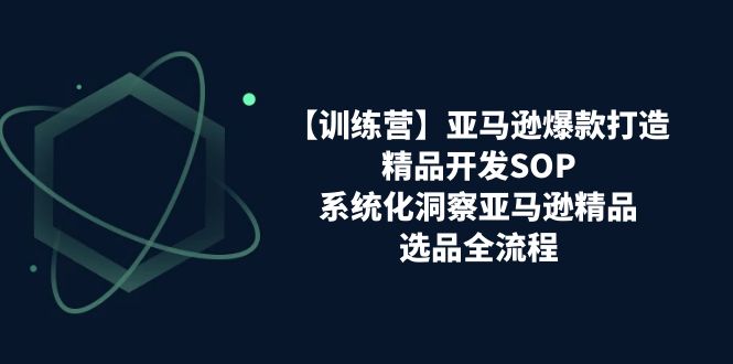 [跨境电商]（11210期）【训练营】亚马逊爆款打造之精品开发SOP，系统化洞察亚马逊精品选品全流程