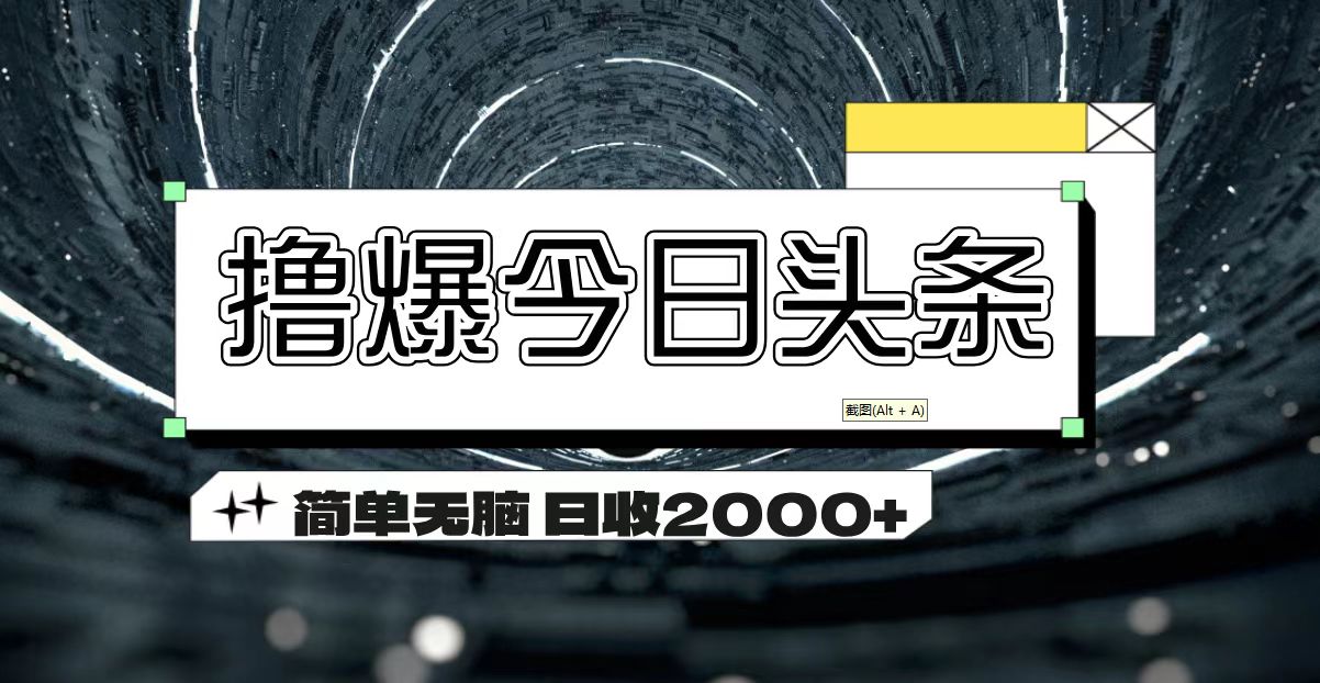 [热门给力项目]（11665期）撸爆今日头条 简单无脑操作 日收2000+