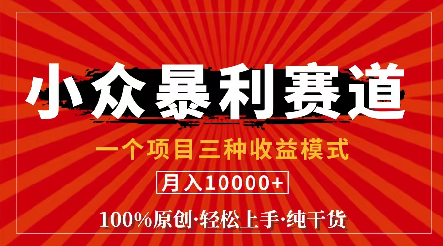 [短视频运营]（11695期）视频号【中老年粉深信不疑】小众赛道 100%原创 手把手教学 新号3天收益...