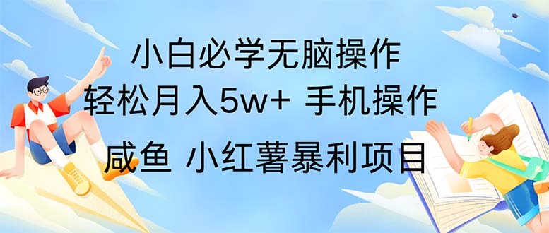 [热门给力项目]（11953期）2024热门暴利手机操作项目，简单无脑操作，每单利润最少500